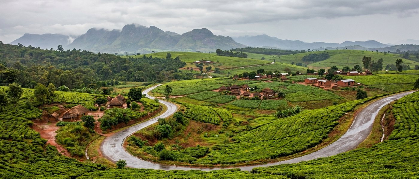 Southern Malawi Travel: A Tea Country Host's Rainy-Day Route